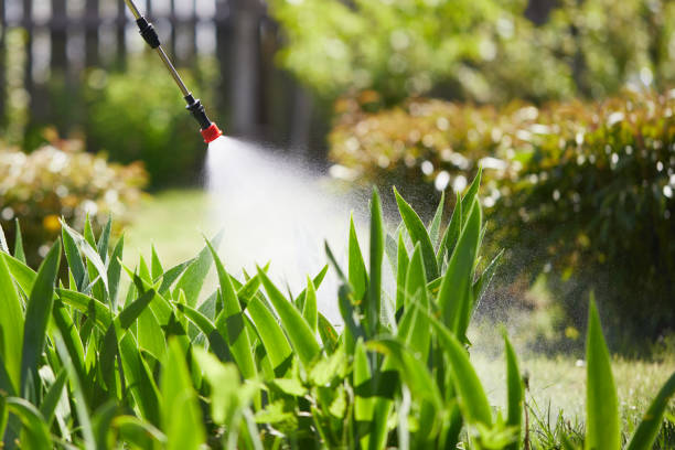 24/7 Emergency Mosquito Control experts in Selma, NC